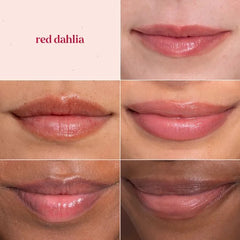 Tinted Lip Balm 2 Pack