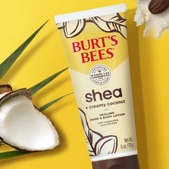 Shea + Coconut Hand and Body Lotion