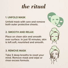 Detoxifying Biocellulose Gel Mask with Charcoal & Green Tea