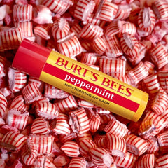 Peppermint Moisturizing Lip Balm