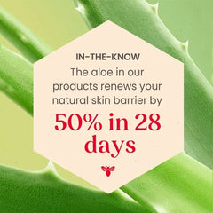 Sensitive Solutions Calming Night Cream