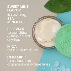 Sweet Mint Lip Treatment with Sea Minerals